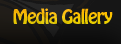 Media Gallery